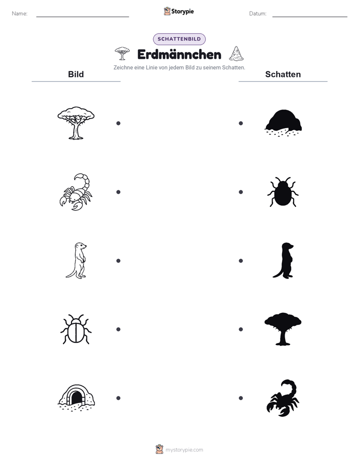Schattenmatch