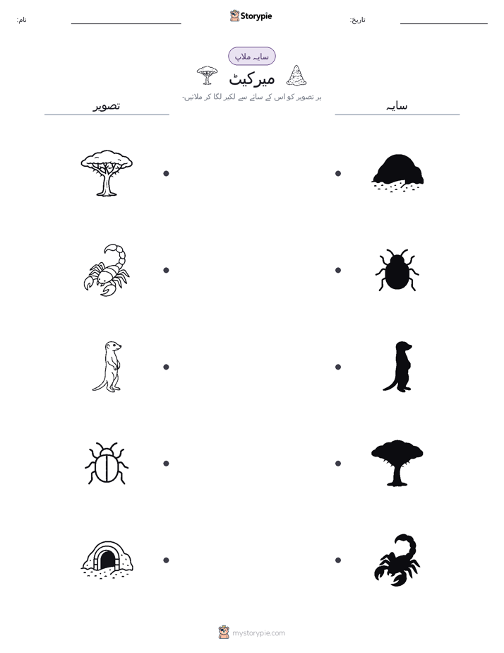 سایہ ملائیں