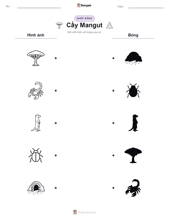 Ghép Hình Bóng