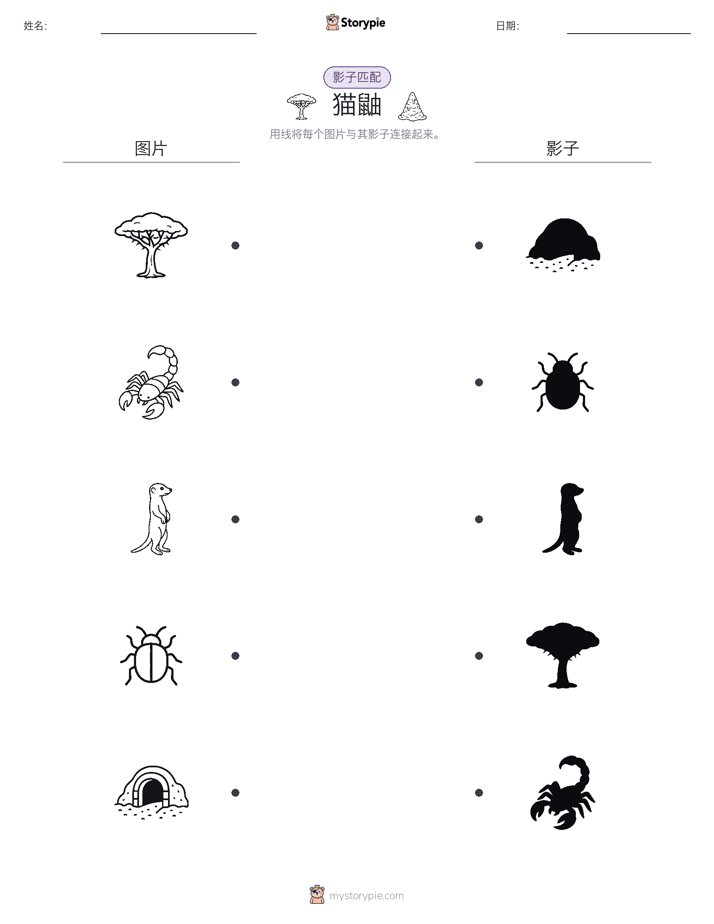 影子匹配