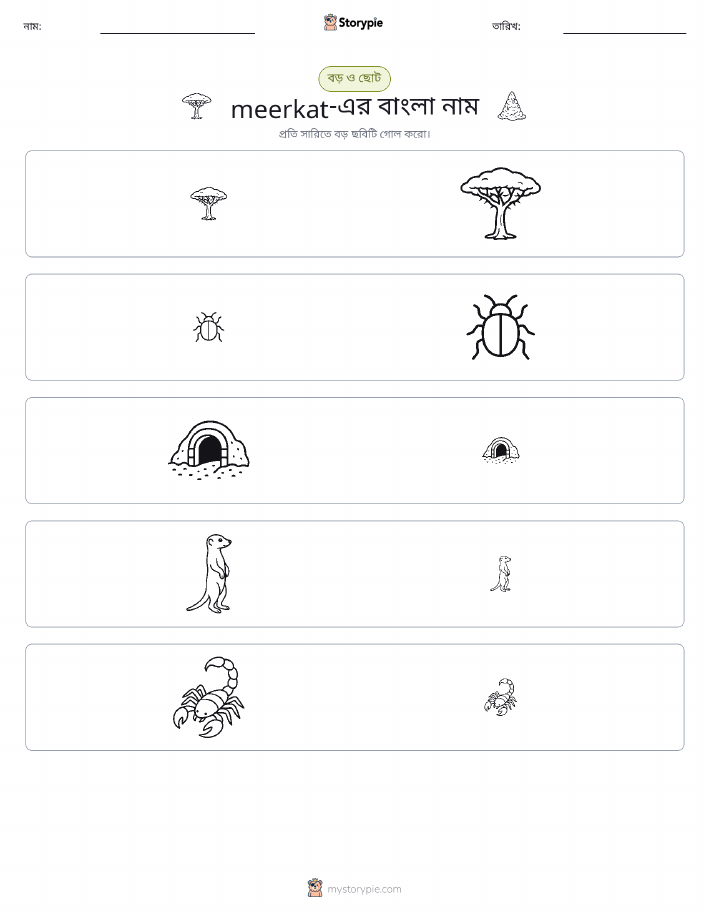 সাজানো