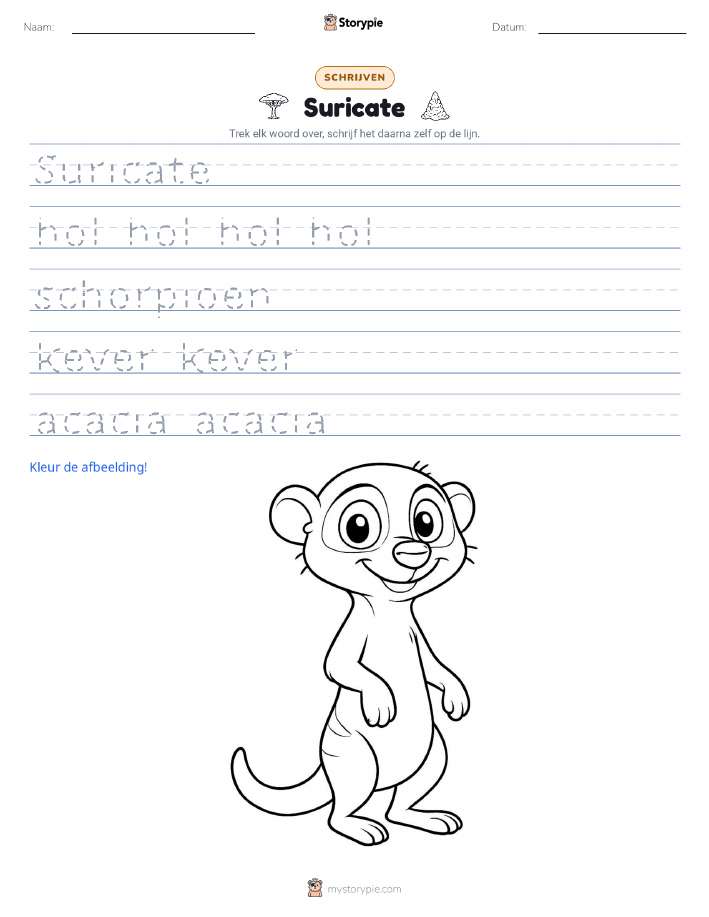 Schrijf Oefening
