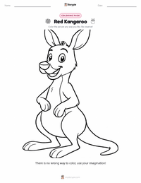 Red Kangaroo coloring page for kids