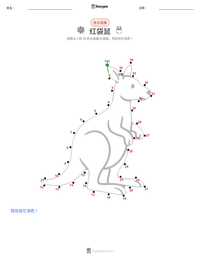 红袋鼠 可打印工作表预览