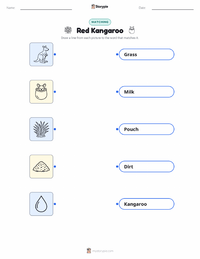 Red Kangaroo printable worksheet for kids