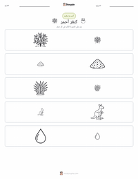 معاينة ورقة العمل القابلة للطباعة الكنغر الأحمر
