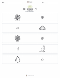 红袋鼠 可打印工作表预览