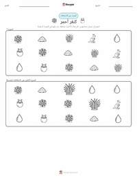 معاينة ورقة العمل القابلة للطباعة الكنغر الأحمر