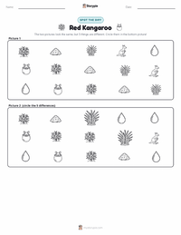 Red Kangaroo printable worksheet preview