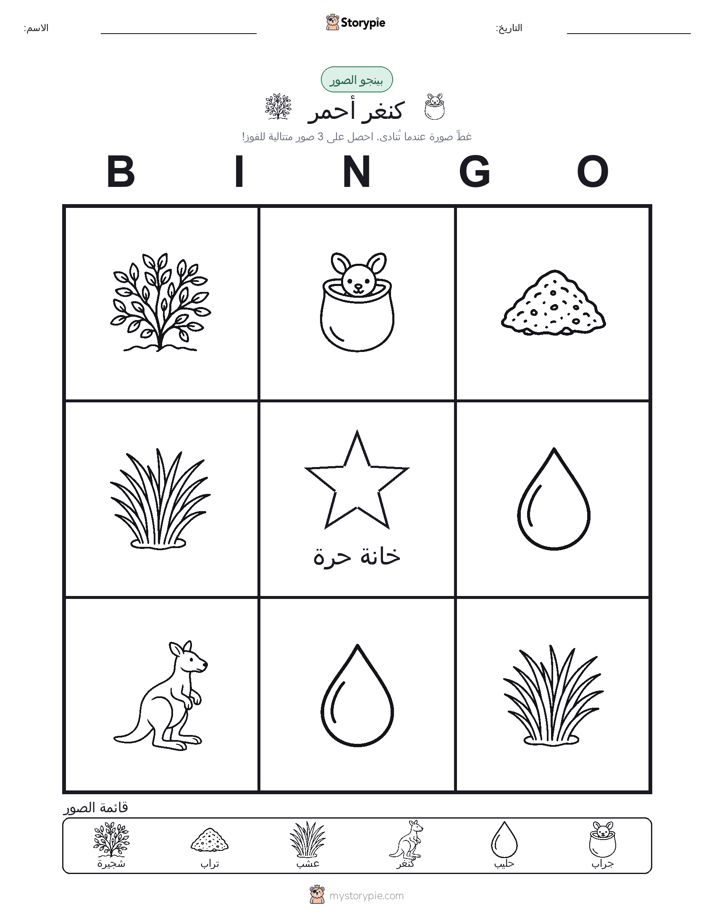 بينغو الصور