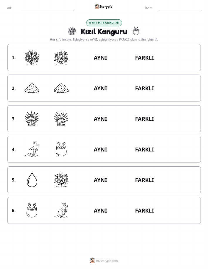 Aynı mı Farklı mı