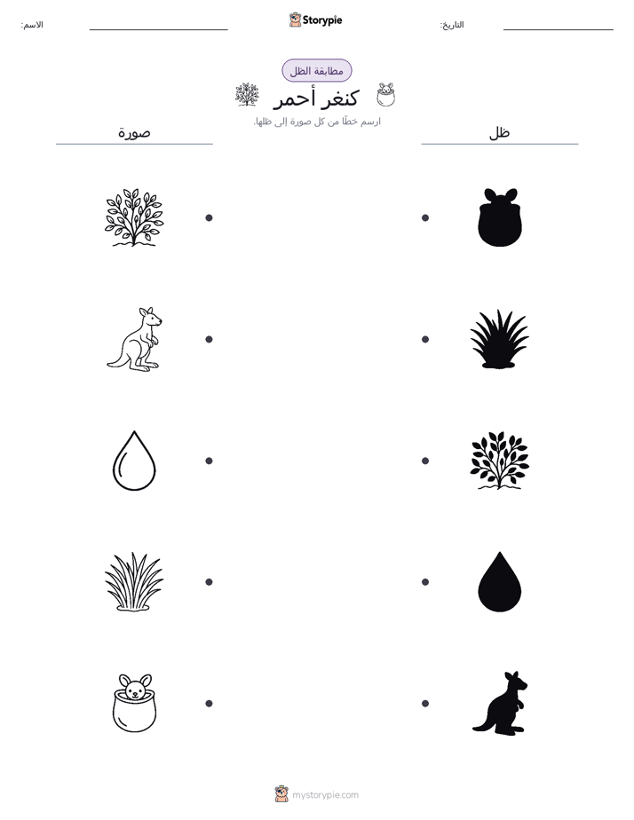 مطابقة الظل