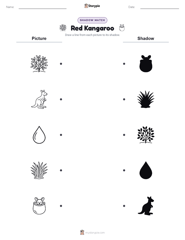 Shadow Match
