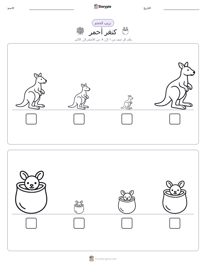 ترتيب الحجم