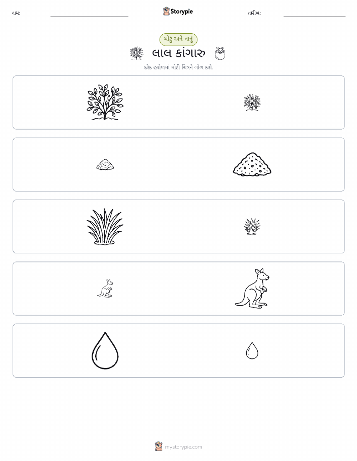 વર્ગીકરણ