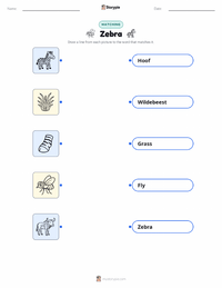 Zebra printable worksheet for kids