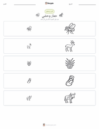 معاينة ورقة العمل القابلة للطباعة الحمار الوحشي السهلي