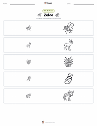 Zebra printable worksheet preview