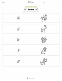 Prévia da folha de atividades imprimível Zebra-da-planície