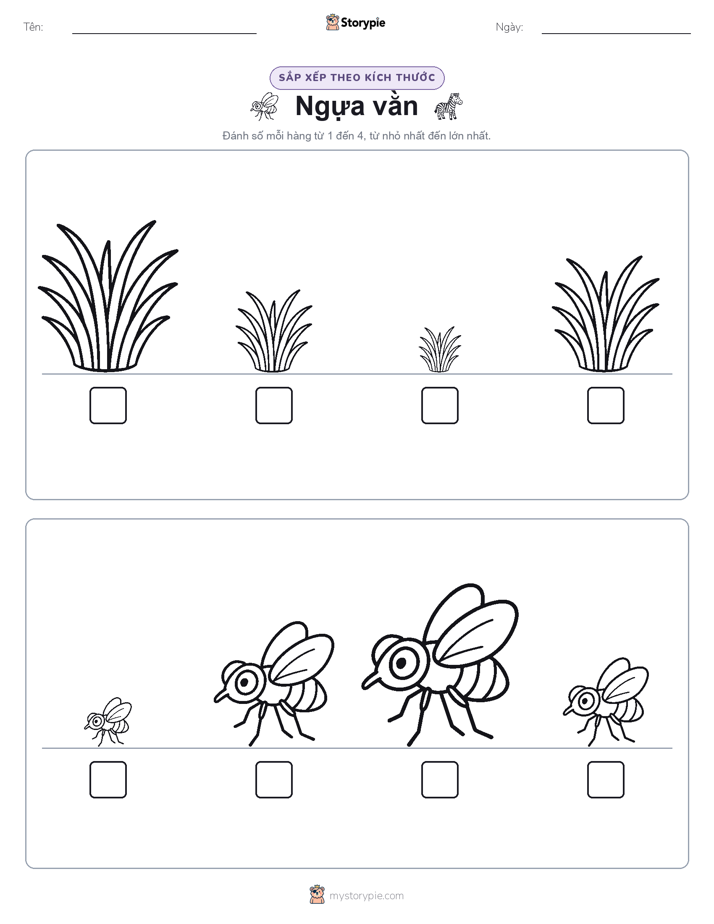 Thứ Tự Kích Thước