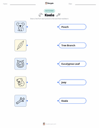 Koala printable worksheet for kids