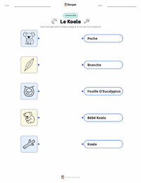 Feuille de travail imprimable Koala pour les enfants