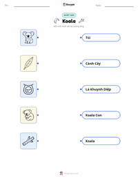 Tài liệu in sẵn Gấu Koala cho trẻ em