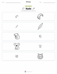Koala printable worksheet preview