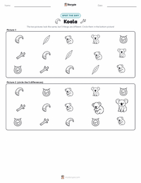 Koala printable worksheet preview