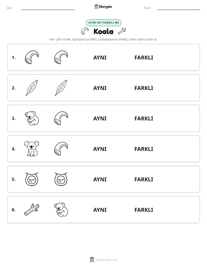 Aynı mı Farklı mı