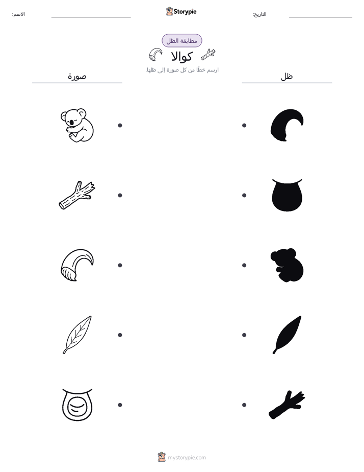 مطابقة الظل