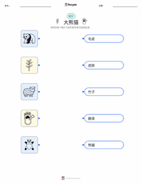 大熊猫 可打印工作表，适合儿童