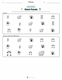 Giant Panda printable worksheet preview
