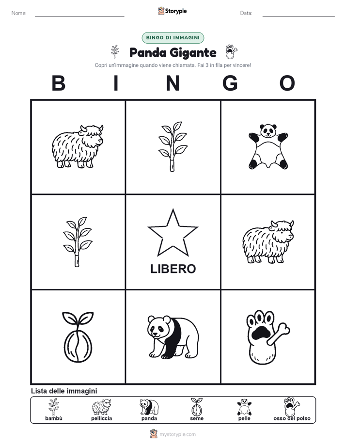 Bingo delle Immagini