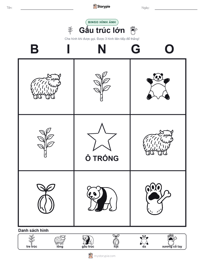 Bingo Hình Ảnh