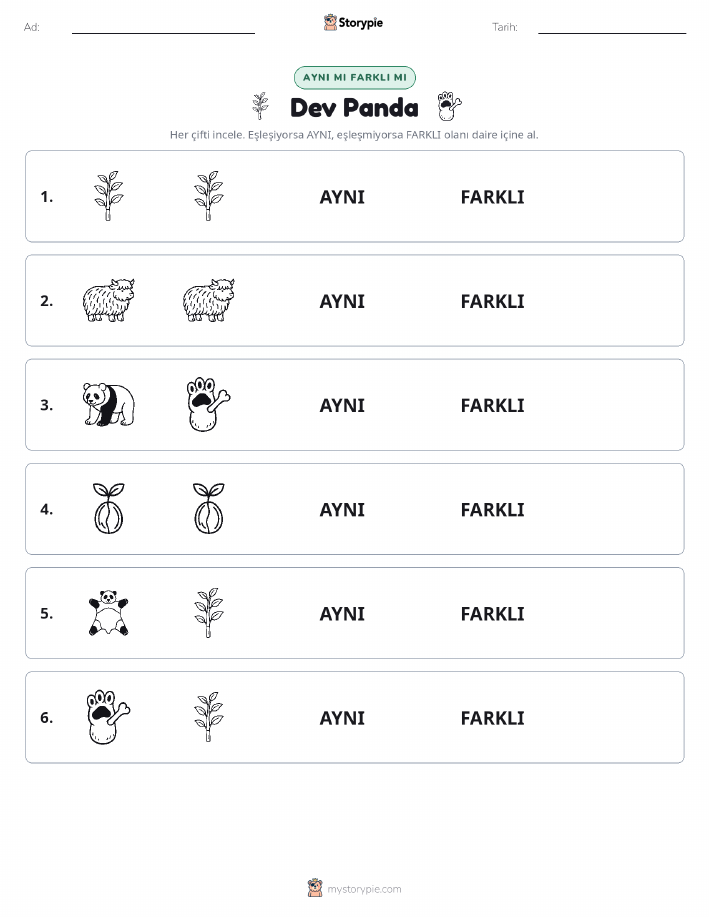 Aynı mı Farklı mı