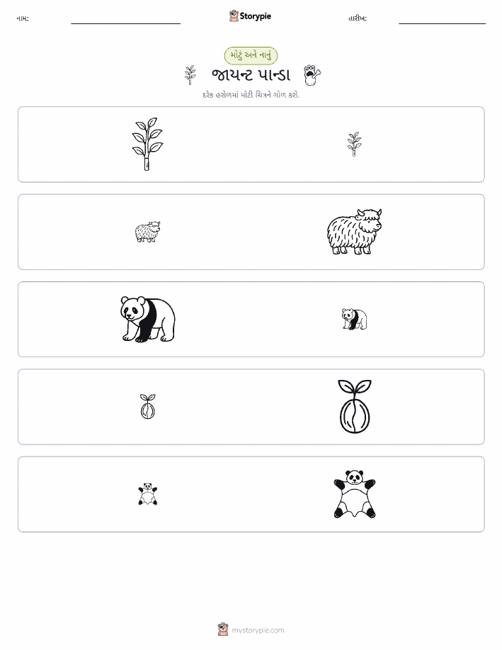 વર્ગીકરણ