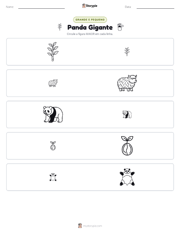Classificação