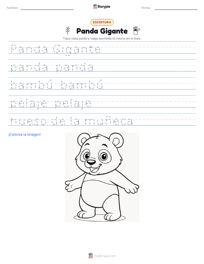 Práctica de Escritura