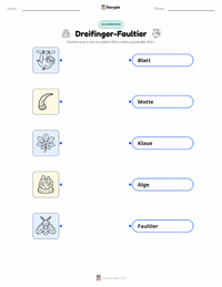 Dreifinger-Faultier druckbare Arbeitsblatt für Kinder
