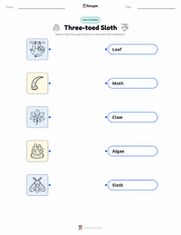 Three-toed Sloth printable worksheet for kids