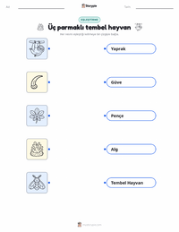 Üç Parmaklı Tembel Hayvan çocuklar için yazdırılabilir çalışma sayfası