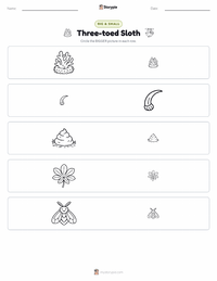 Three-toed Sloth printable worksheet preview