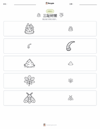 三趾树懒 可打印工作表预览