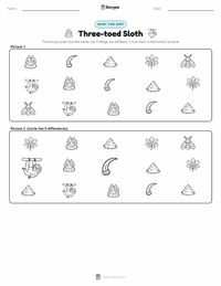 Three-toed Sloth printable worksheet preview
