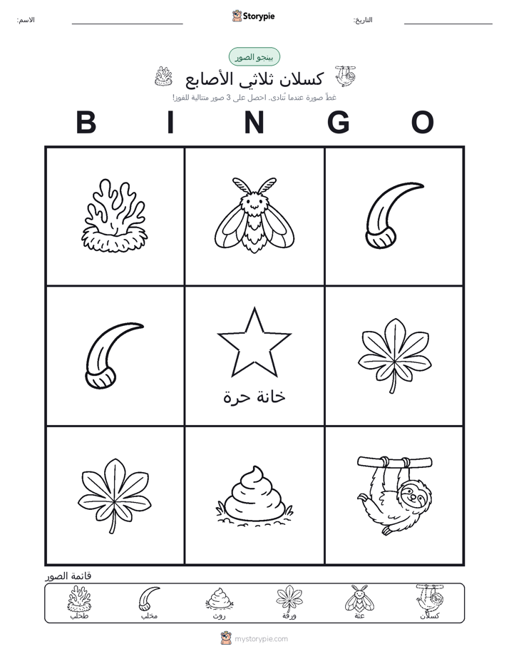 بينغو الصور