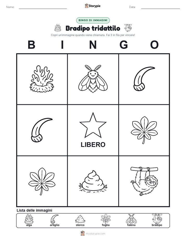 Bingo delle Immagini