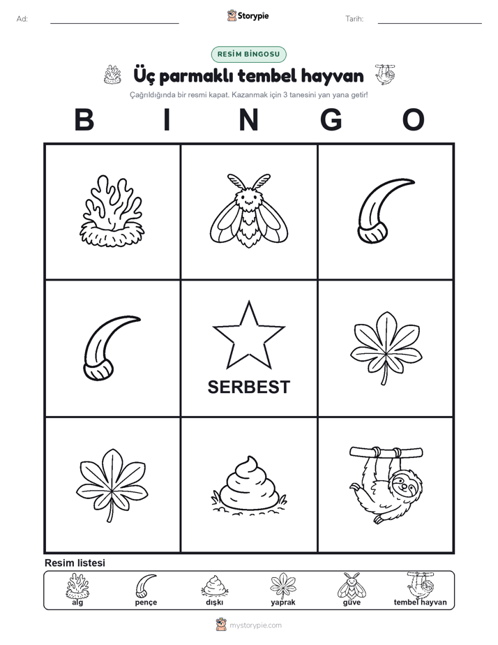 Resim Bingo