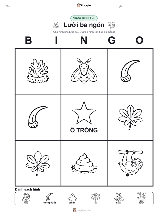 Bingo Hình Ảnh