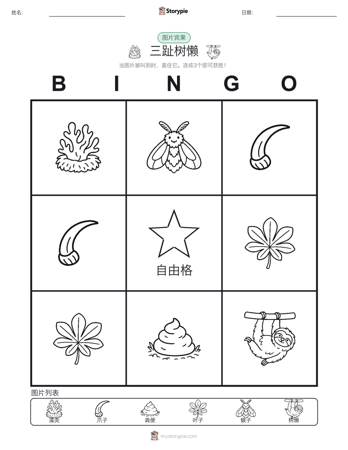图片宾果